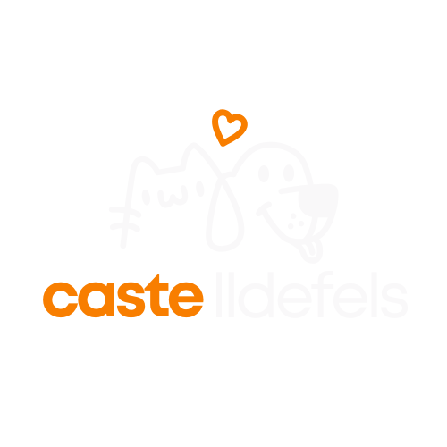 lieselpuppiedreams.es